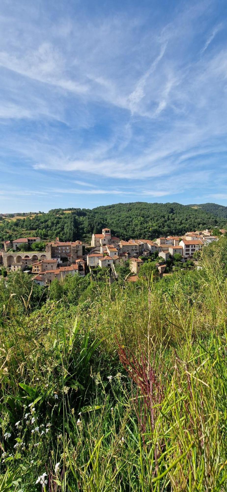 La Maison Du Vigneron Auzon Esterno foto